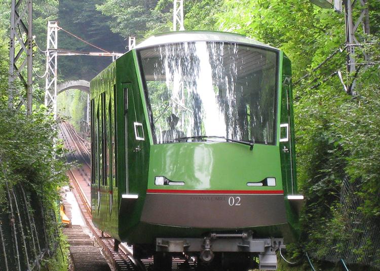 5.Oyama