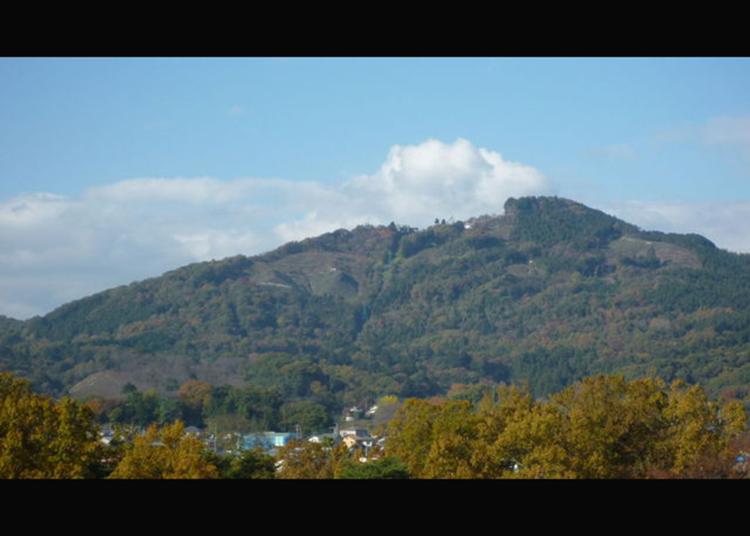 9.Hodosan