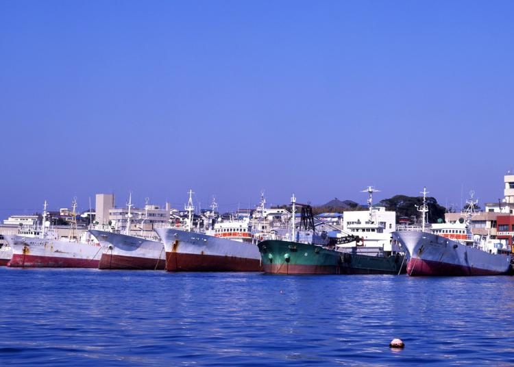 Tokyo Trip Most Popular Beaches In Tokyo And Surroundings September 19 Ranking Live Japan Travel Guide