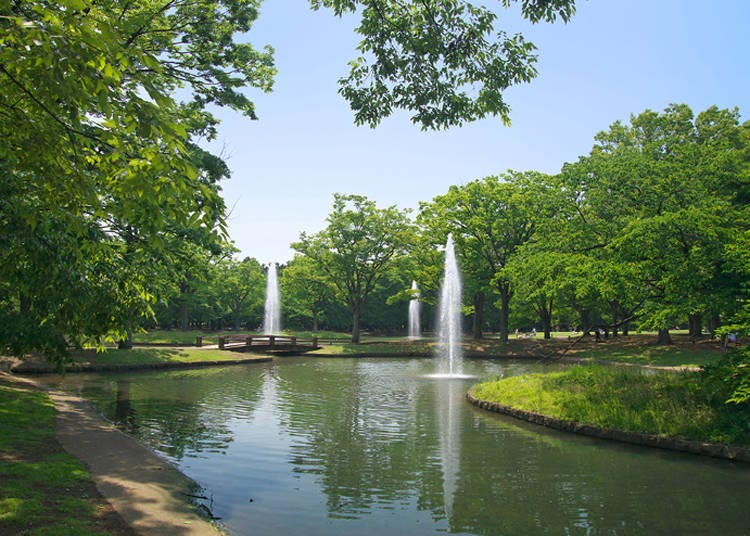 第2位:代々木公園