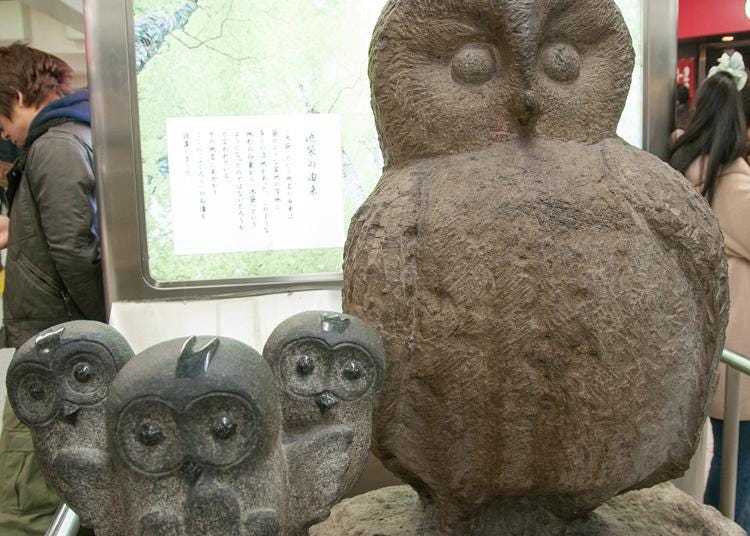 第4位:いけふくろう