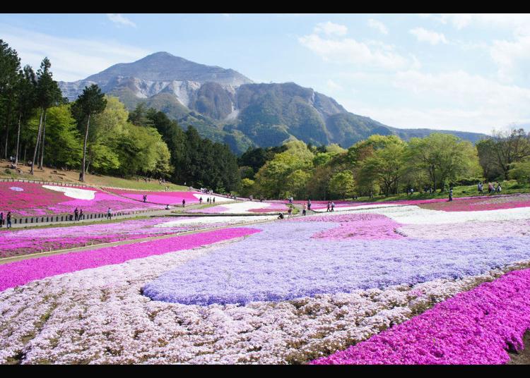 7.Hitsujiyama Park