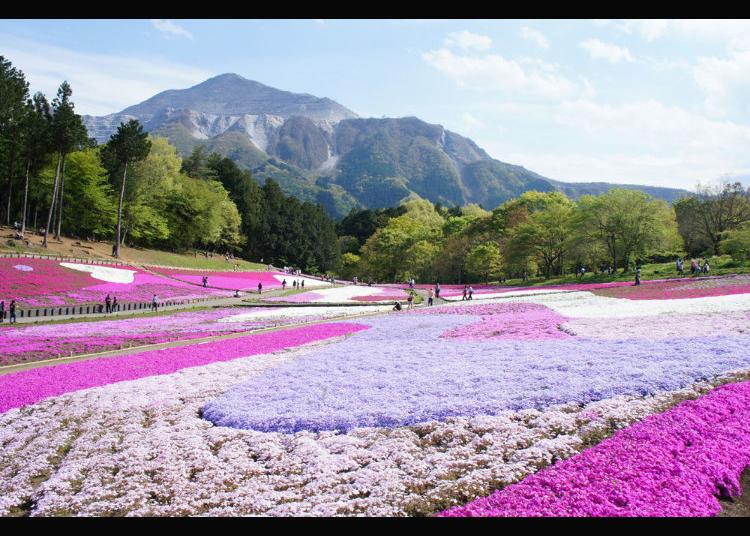 7. Hitsujiyama Park