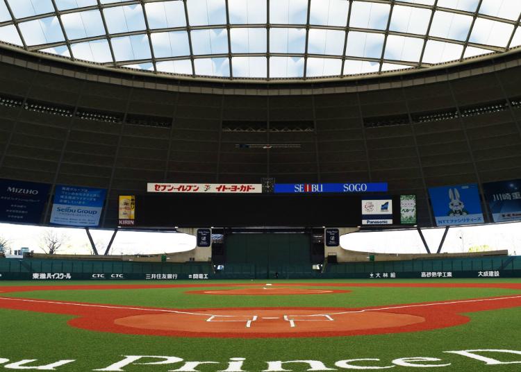 8.MetLife Dome