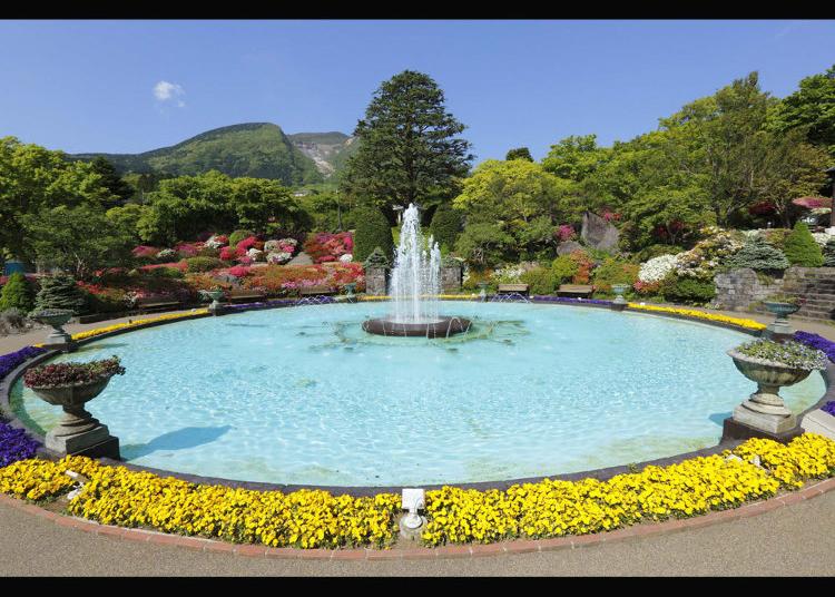 6.Hakone Gora Park