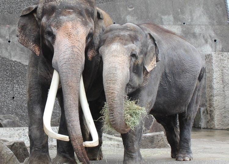 6.Kanazawa Zoo