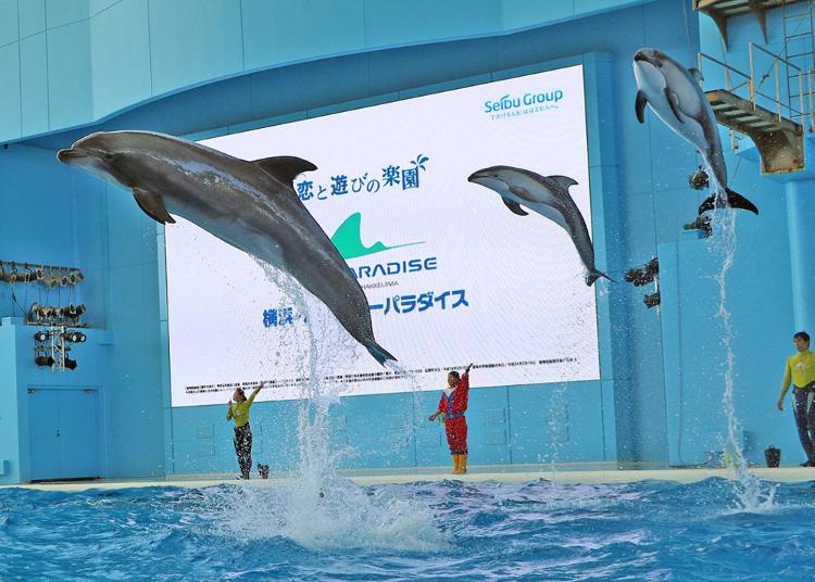 5위. Yokohama Hakkeijima Sea Paradise