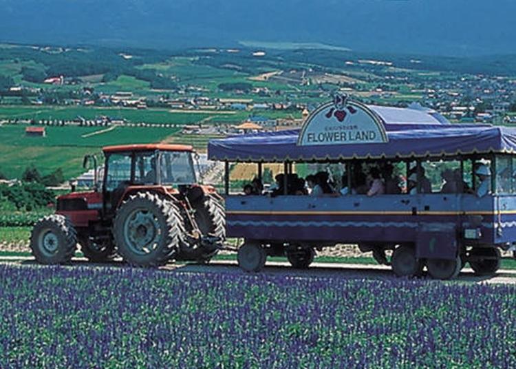 1.Flower Land Kamifurano