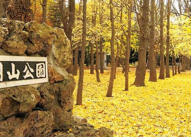 4.MARUYAMA PARK