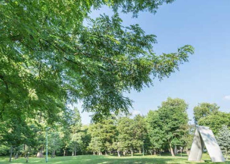 5.Tokiwa Park