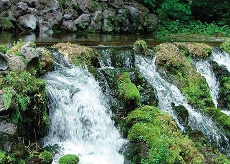 8.Fukidashi Springs Mount Yotei