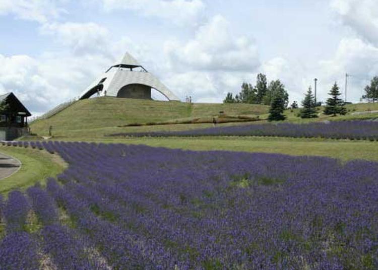 10.Hokusei-no-oka hills Observatory park