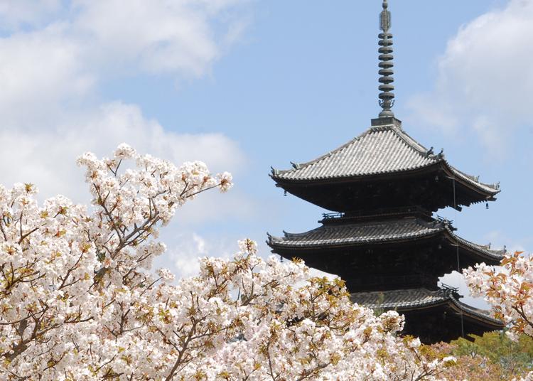 4.Ninna-ji Temple