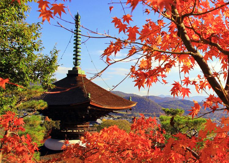 6.Jojakko-ji Temple