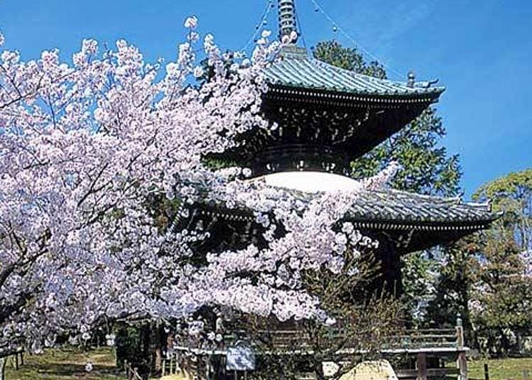 7.Seiryoji Temple