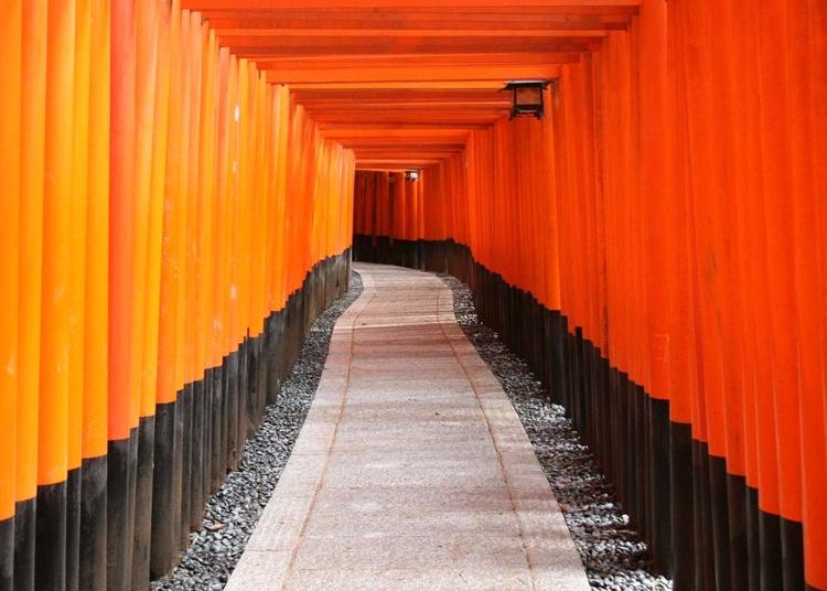 1. Fushimi Inari-taisha Shrine