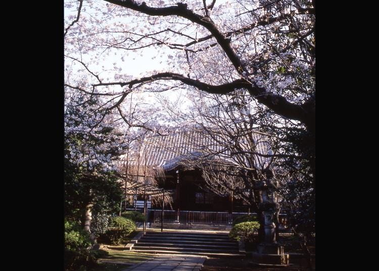 7.Homyoji Temple