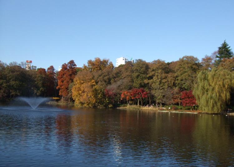 7.Inokashira Park