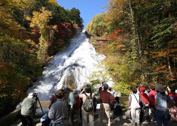 Awesome Things to Do In Japan: 10 Most Popular Spots in Nikko! (December 2019 Ranking)