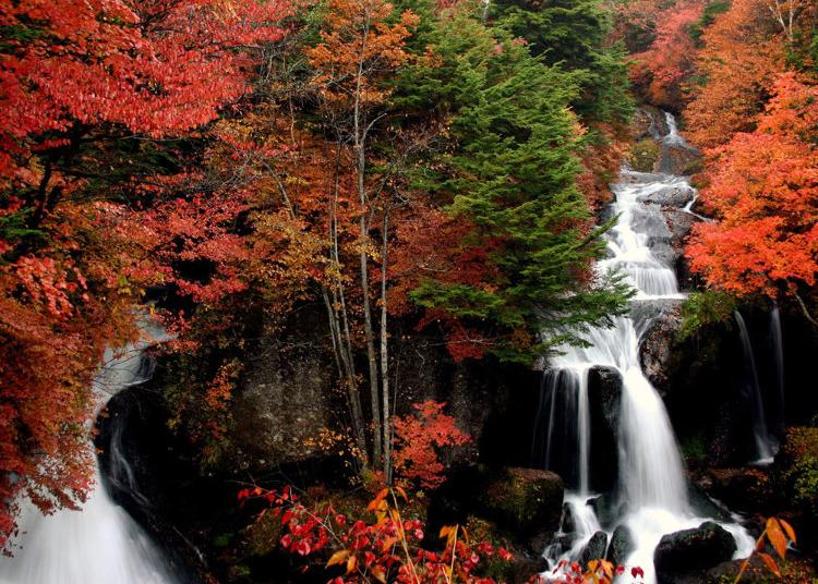 4.Ryuzu Falls