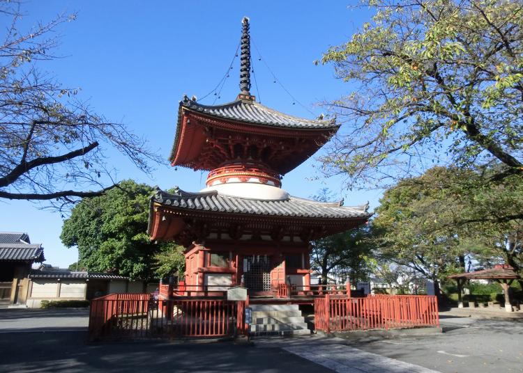 8.Kawagoedaishi Kitain Temple