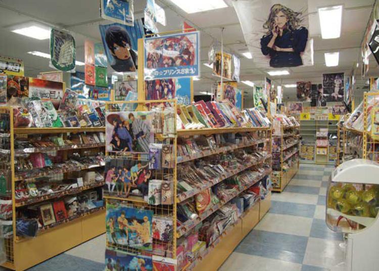 5.Animate Akiba Cultures Zone