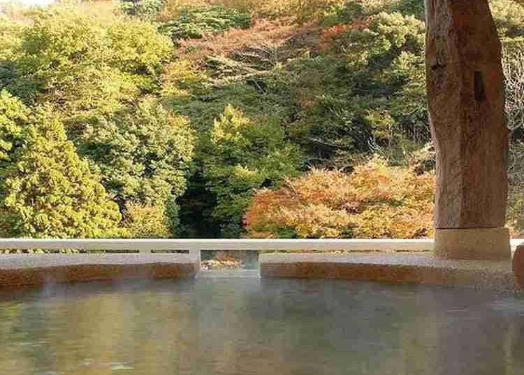 第10名:Hakone Suimeisou Hotel