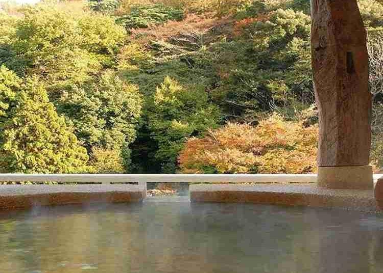 第10名：Hakone Suimeisou Hotel