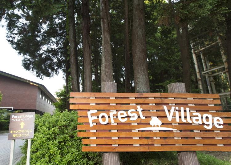 1.Forest Village