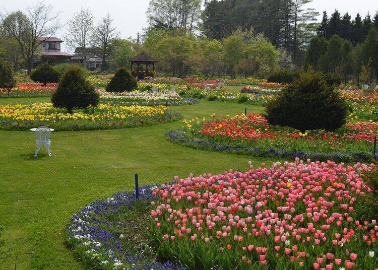 Blooms change year-round at Shichiku Garden (Photo courtesy of Shichiku Garden)