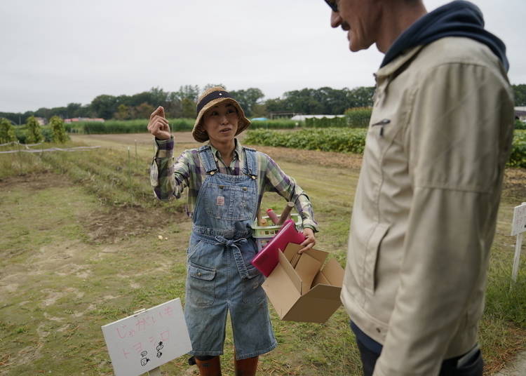 Mikiko Sawano explains about different strains of potato