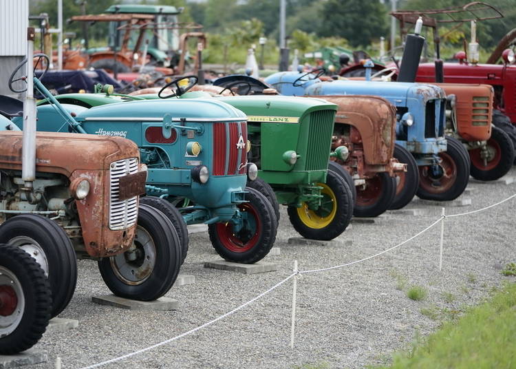 A collection of vintage tractors