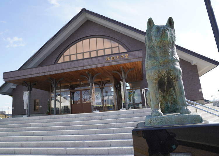 Akita Inu Visitor Center in front of JR Odate Station