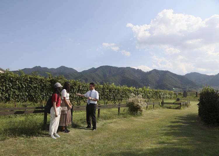 Tatsushi Arai shows guests around a vineyard during a winery tour