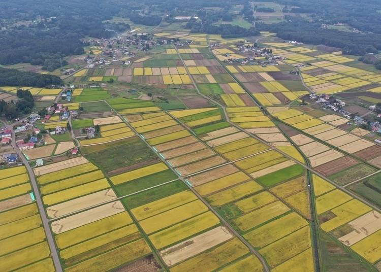 An aerial view of the greater Shinano area