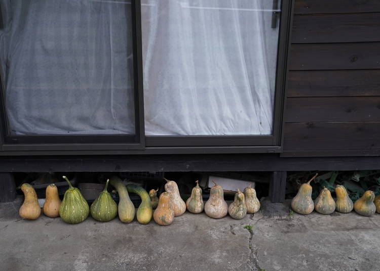 A collection of homegrown vegetables