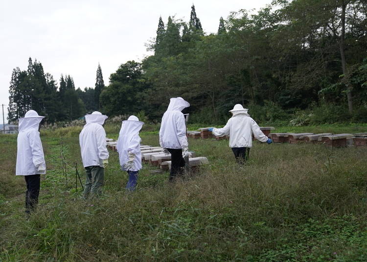Keizou Kurata leads guests to his honeybee farm