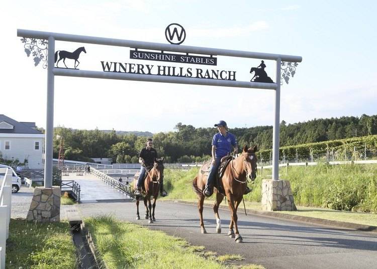 Learn how to ride at Sunshine Stables, Winery Hills Ranch