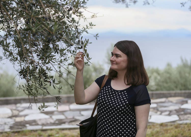 Visit Olive Park to discover a rich variety of olive-related products