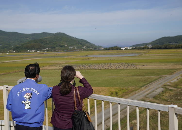Viewing the birds at Izumi Crane Observation Center
