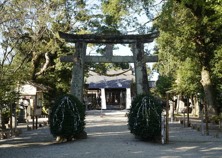 The grounds of Suwa Shrine