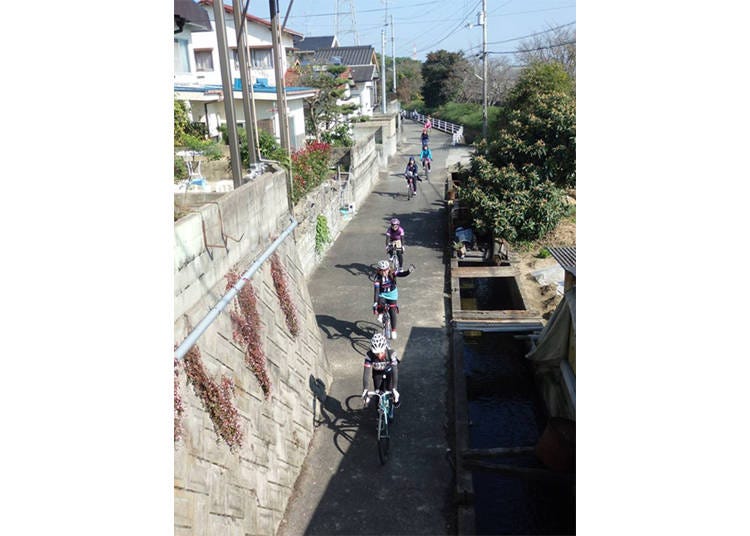 A guide leads a group of cyclists down a hidden back street