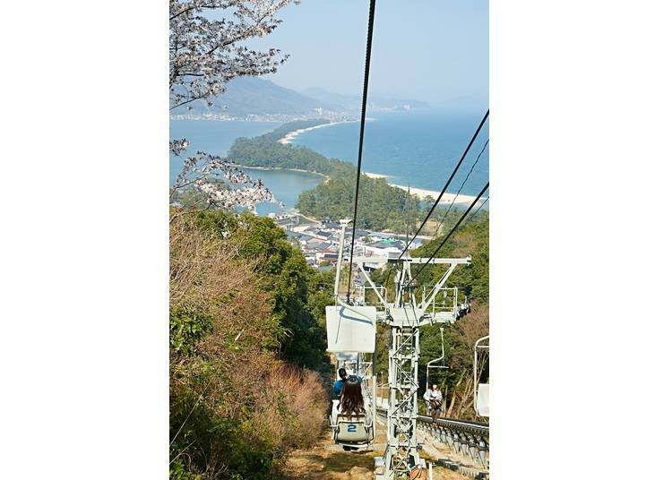 Pine trees have managed to snake their way across a sliver of sand in Amanohashidate