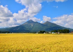 ฟุกุชิมะ/โคะริยามะ/อิวากิของภาพรวมและประวัติศาสตร์