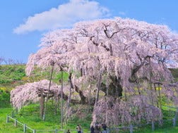 Koriyama Surrounding Areas