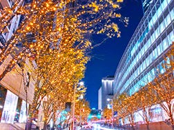 Early November to late December: Keyakizaka Illuminations