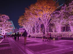 Mid-November to late February: Shinjuku Terrace City Illuminations