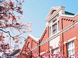 Mid-April: Cherry Blossoms at the Japan Mint