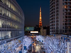 六本木 Live Japan 日本旅遊 文化體驗導覽