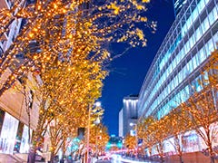 六本木 Live Japan 日本の旅行 観光 体験ガイド 六本木 Live Japan 日本の旅行 観光 体験ガイド